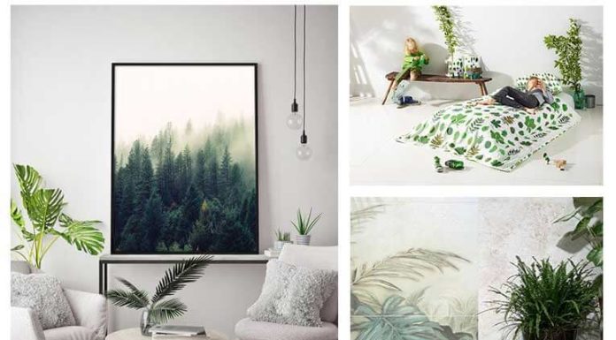 Leśne historie – niech się w domu zazieleni