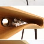 biurko-stół-kocia-kryjówka-koty