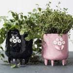 lamabo_doniczka_pajak