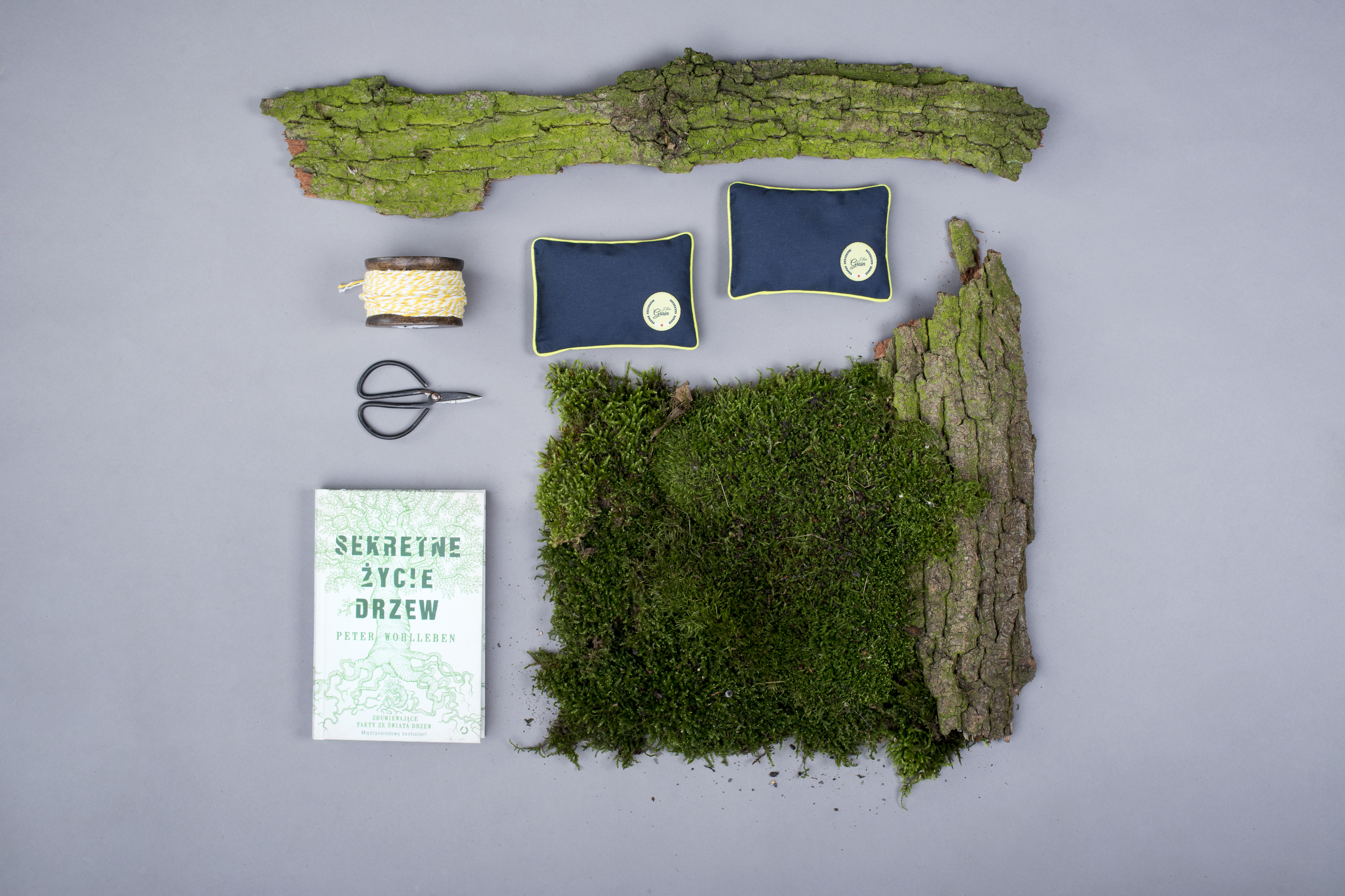 Fot.Ilustracyjna_ILG_047