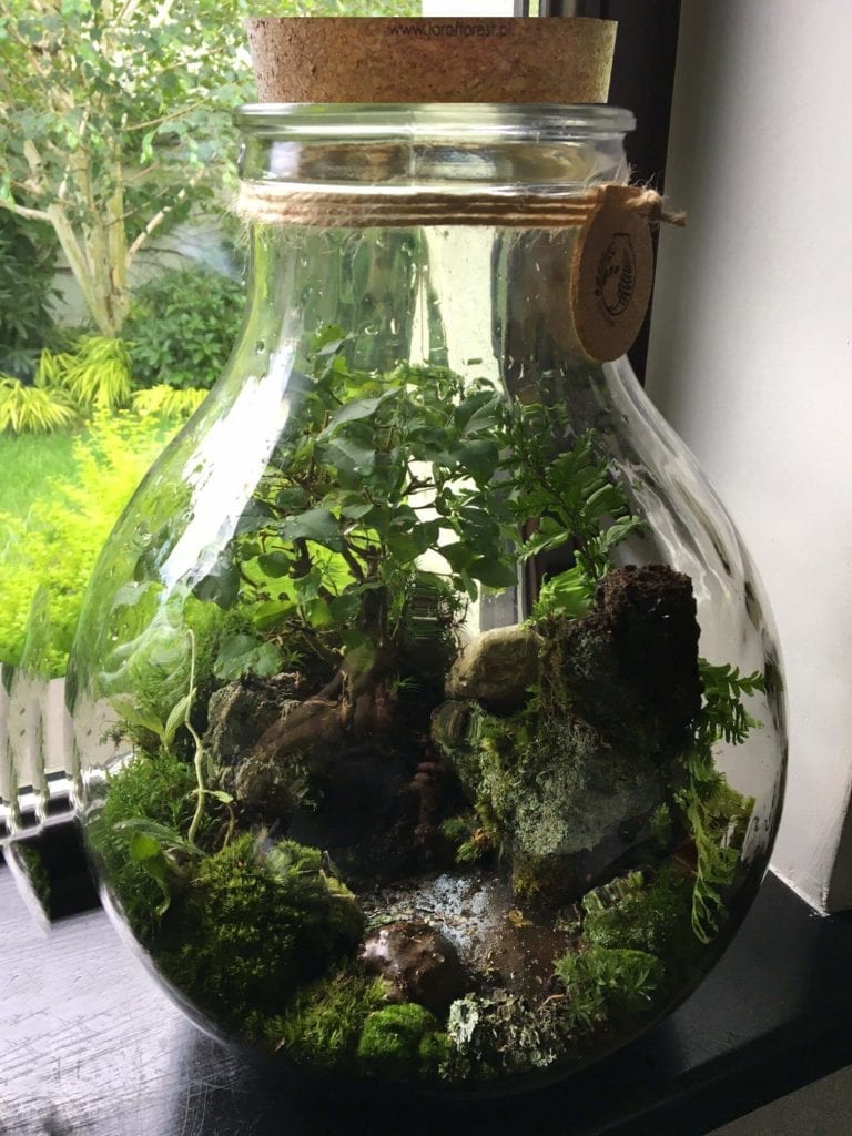 jar of forest