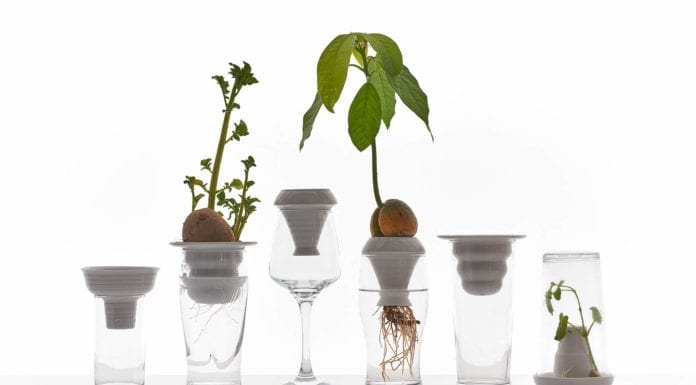 Alicja Patanowska z projektem Plantacja laureatką Mazda Design Award 2018