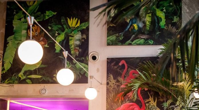 Nowy Świat 21 – Odwiedź Hawaje w centrum Stolicy!