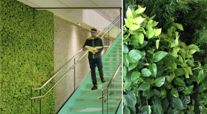 Roślinność na ścianach jako alternatywa na zwykłe zielone ściany