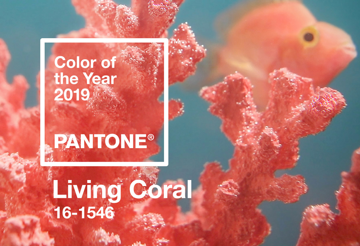 pantone living coral