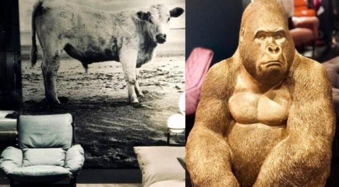 Zwierzęce motywy jako dekoracje wnętrz, a lustro i lampa w roli biżuterii – trendy z targów IMM Cologne 2019 cz.2