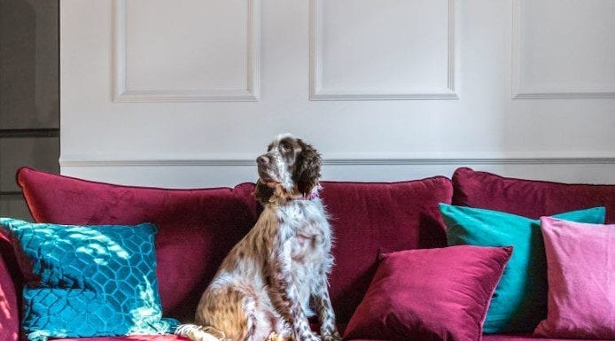 Jedwabny aksamit – akcent w twoim wnętrzu