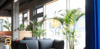 japońska-restauracja-na-islandii-inspiracje-sofa-żółte-krzesło-palmy-piękno-i-minimalizm