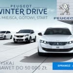 PEU9C101801-WinterDrive_2020-300×250