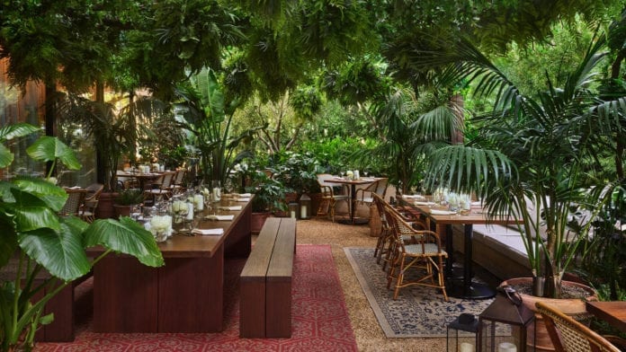 ogród-hotel-restauracja-inspiracje-drewno-luskusowy-rośliny