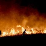 Pożary w Australii – jak pomagają architekci?