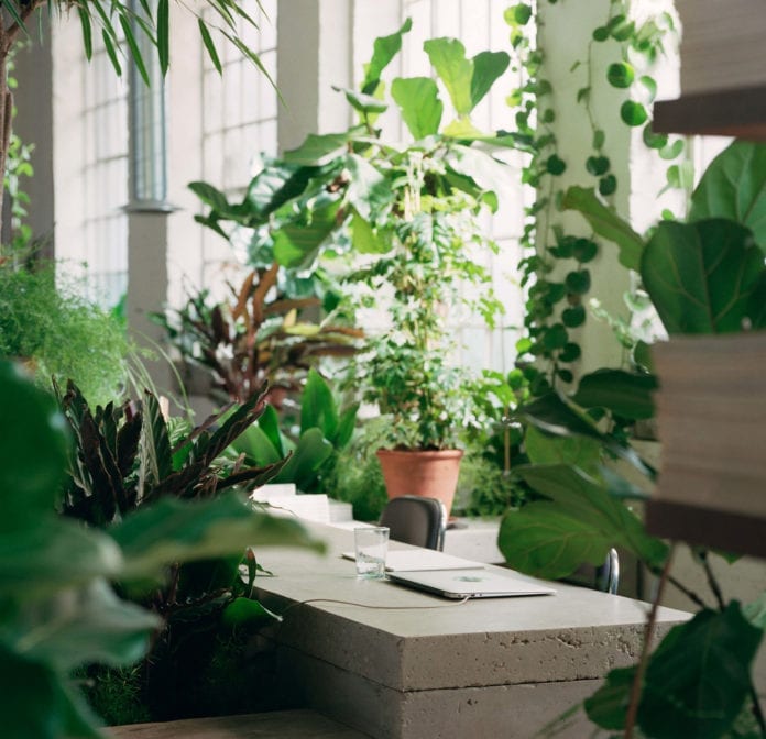 miejsce-do-pracy-biuro-inspiracje-wnętrze-rośliny-beton-industrial