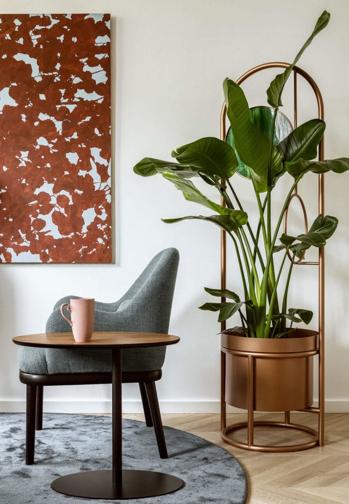 stół-dywan-inspiracje-krzesło-rośliny-doniczki