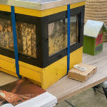 #meetblogin2021_11-min