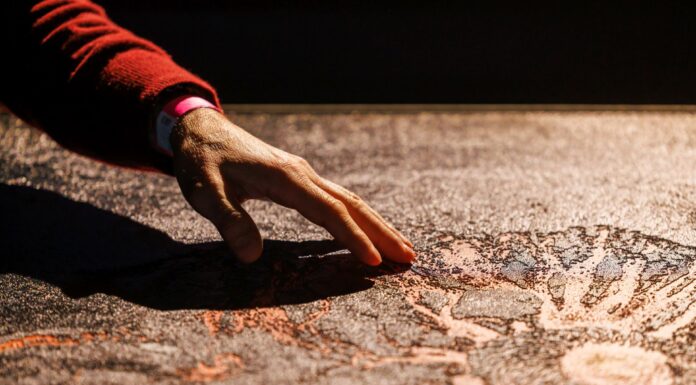 Mariaż fotografii i technologii – debiut LEO na Artshow